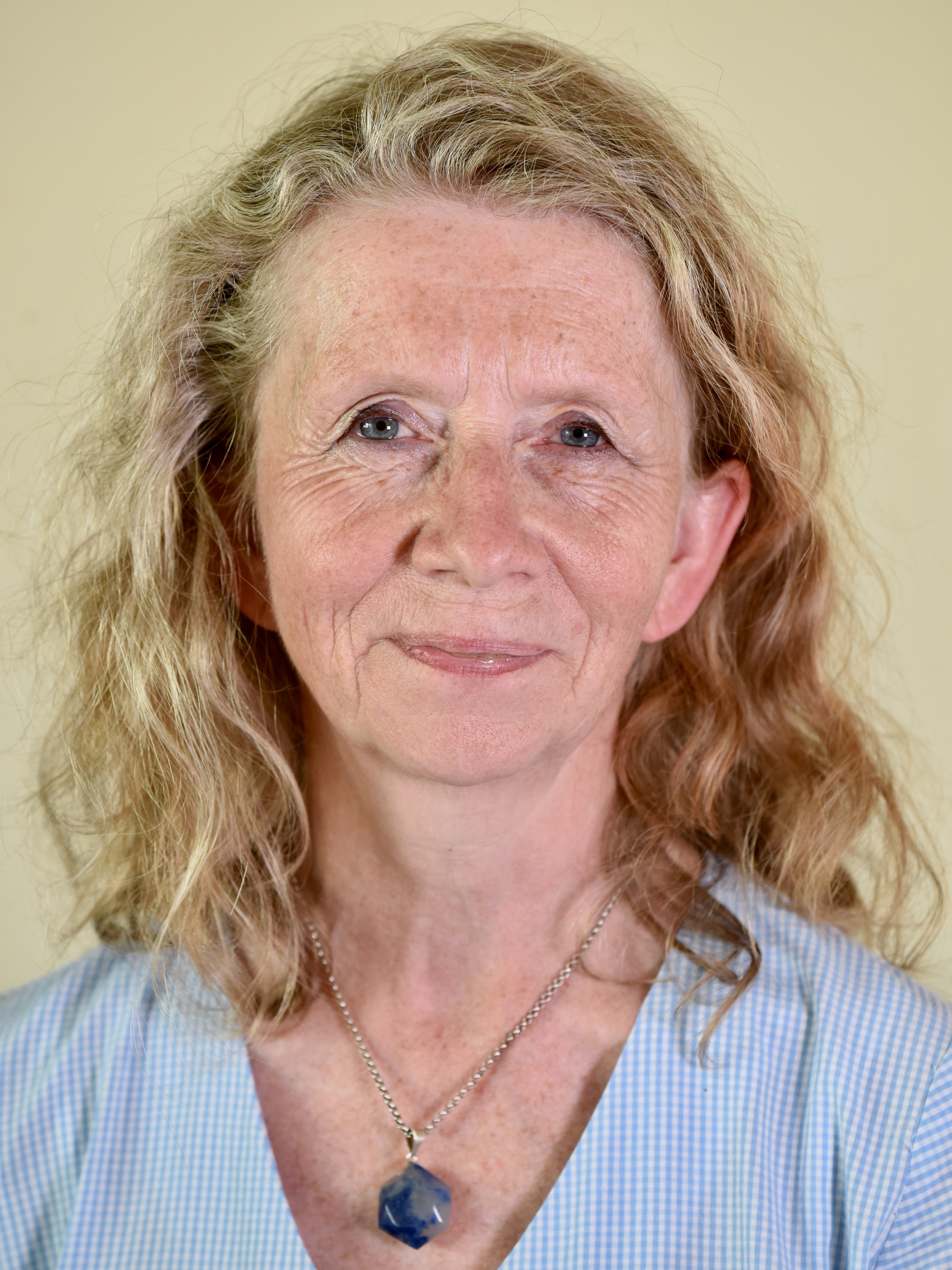 contactPerson.contactPerson.title